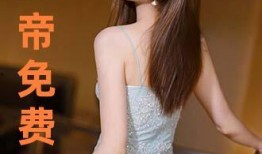 私奴在线观看,揭秘古代奴隶生活的残酷与挣扎