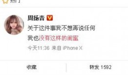 爆料新闻开头文案,爆料新闻背后的惊人真相